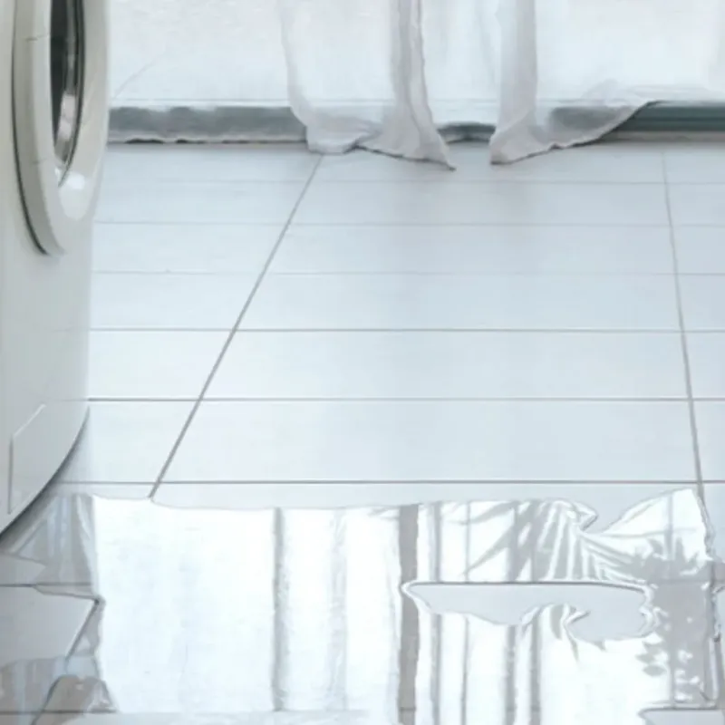 Appliance Leak Cleanup in DeKalb County, AL