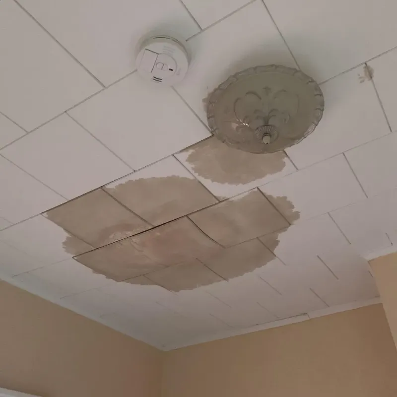 Ceiling Water Damage Repair in DeKalb County, AL
