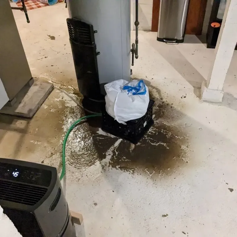 Sewage Backup Cleanup Service in DeKalb County, AL